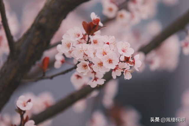 网络舆情敲诈_微信明星黑料,_追剧黑料敲诈案件