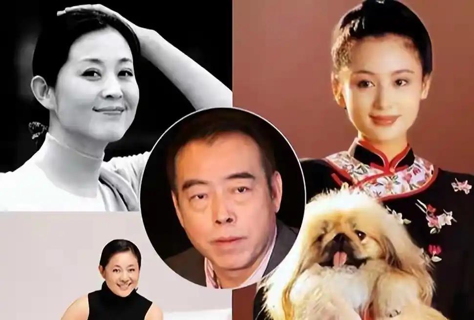 倪萍陈凯歌陈红恩怨情仇_倪萍病重退出娱乐圈_陈红陈凯歌婚姻代价
